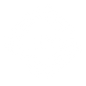 INA